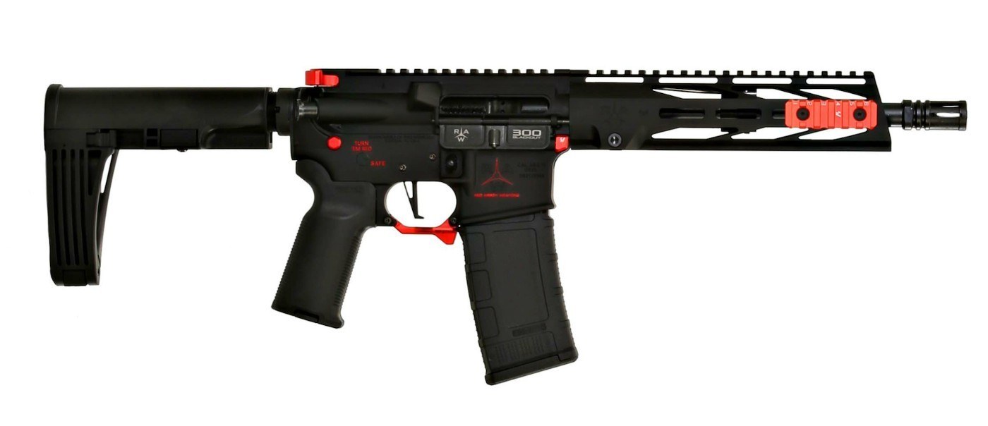 RAW 15 P 300 rifle