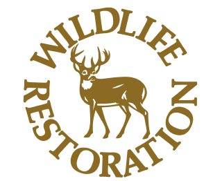 Wildliferest resize