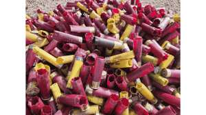 Shot shells