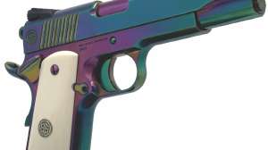 Rainbow Model copy