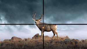 Sig Sauer BDX reticle 190104 111449 630209a8129d64644d9f3fa32254607a