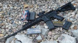 Caracal1202