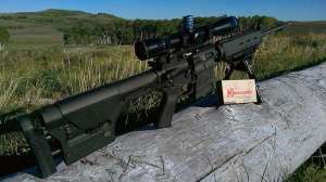 GVO MP10 glamour clowe615 e1434546968467 190104 101207 630209a8129d64644d9f3fa32254607a
