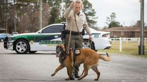 High Speed Gear Bonito K9