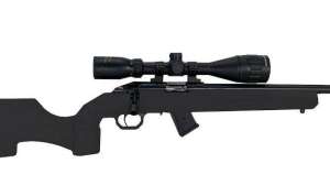 Howa M1100 rimfire e991f65cda8cad0d03a7ea8cd2674507