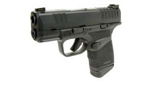 Springfield Armory Hellcat subcompact 9mm e991f65cda8cad0d03a7ea8cd2674507 200708 162504