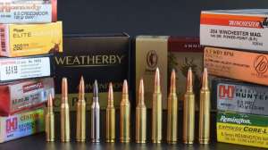 Various 6 5 cartridges ammunition Photo by Wayne Van Zwoll f4159788da6a13a05c7755e7e3b29890 201006 082502
