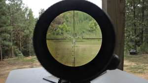 All about Optic1 300