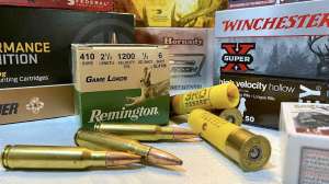 Ammuntion rifle shotgun photo by Clemons