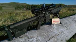 GVO MP10 glamour clowe615 e1434546968467 190104 101207