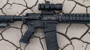 Leupold RDS Black Label optic