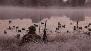 NSSF Success