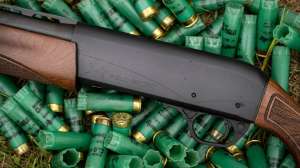 Remington Files Chapter 11