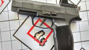 Sig Sauer P365 with Romeo Red Dot optic photo brian mccombie