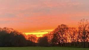 Sunset field photo by clemons