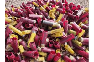 Shot shells