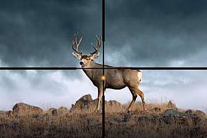 Sig Sauer BDX reticle 190104 111449 630209a8129d64644d9f3fa32254607a 190327 152942