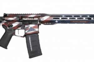 Rise Armament Legacy Rifle 190104 111309