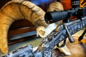 Browning X Bolt f4159788da6a13a05c7755e7e3b29890 200712 142506