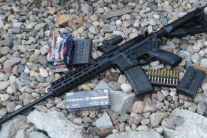 Caracal1202