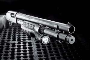 Counter Intell 1022stacked shotgun