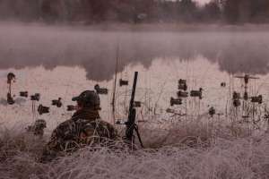 NSSF Success f4159788da6a13a05c7755e7e3b29890 210224 152509