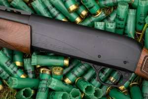 Remington Files Chapter 11 f4159788da6a13a05c7755e7e3b29890 200802 142502