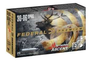 Rendering Terminal Ascent Rifle P3006 ETLR175 e991f65cda8cad0d03a7ea8cd2674507 200817 182502