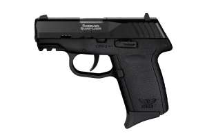 SCCY CPX 2