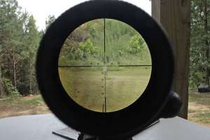 All about Optic1 300
