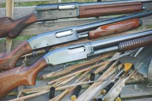 15 Duck Guns