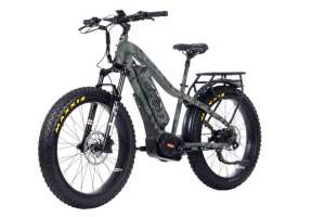 Bakcou bike pic