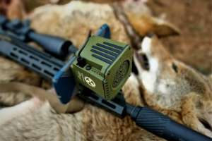Convergent Sidewinder Game Call mounted to rifle
