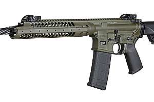 LWRC Incentives 190104 101142