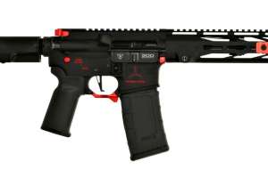 RAW 15 P 300 rifle