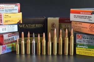 Various 6 5 cartridges ammunition Photo by Wayne Van Zwoll