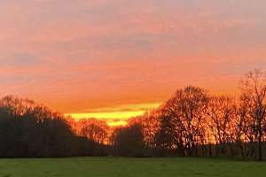 Sunset field photo by clemons e991f65cda8cad0d03a7ea8cd2674507 201020 082502